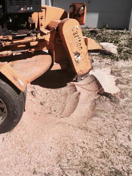 Stump Removal Service Des Moines, Iowa