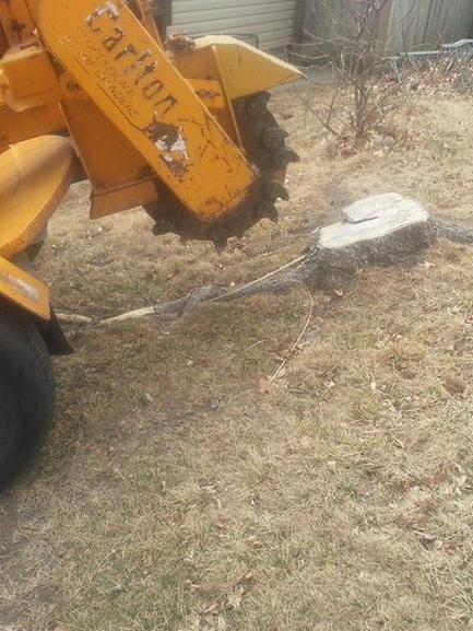 Stump Removal Service Des Moines, Iowa