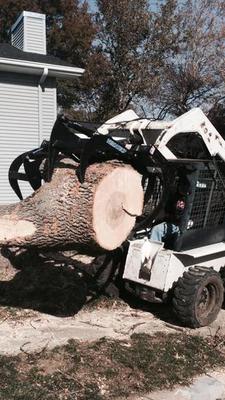 Tree Trimming Service Des Moines, Iowa